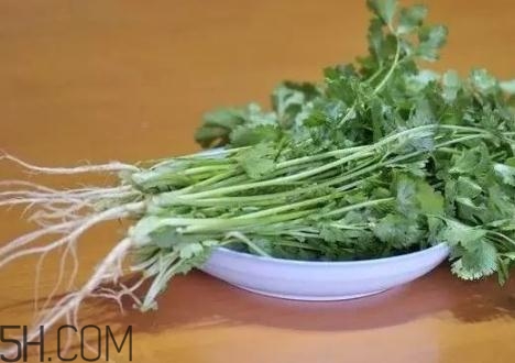 香菜根煮水能減肥嗎？香菜根煮水能天天喝嗎？