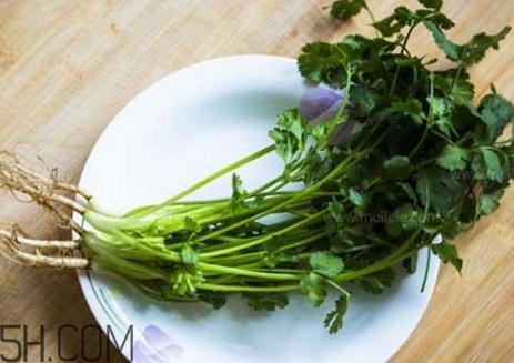 香菜根煮水能減肥嗎？香菜根煮水能天天喝嗎？