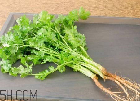 香菜根煮水能美白嗎？香菜根煮水能祛斑嗎？