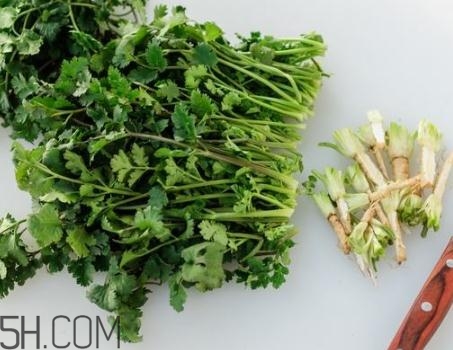 香菜根煮水能退燒嗎？香菜根煮水能治咳嗽嗎？
