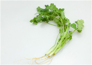 香菜根煮水能治濕疹嗎？香菜根煮水孕婦能喝嗎？