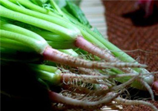 香菜根煮水能美白嗎？香菜根煮水能祛斑嗎？