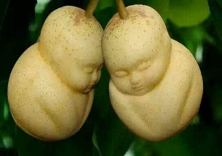 女人吃人參果有哪些好處？人參果的營養(yǎng)價值是什么？