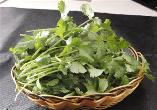 香菜根煮水能減肥嗎？香菜根煮水能天天喝嗎？