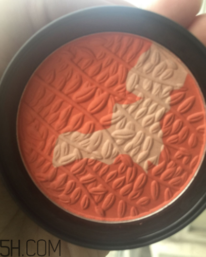 瑪麗黛佳腮紅怎么打？瑪麗黛佳腮紅怎么用？