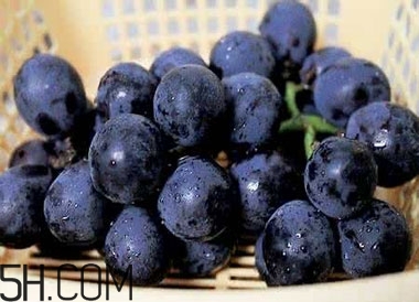 吃黑加侖對眼睛有什么好處？吃黑加侖要注意什么？