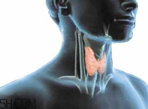 甲狀腺腫大和甲亢的區(qū)別有哪些？甲狀腺腫大適合吃什么食物？