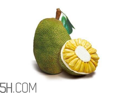 為什么吃菠蘿蜜拉肚子？吃菠蘿蜜拉肚子怎么辦？