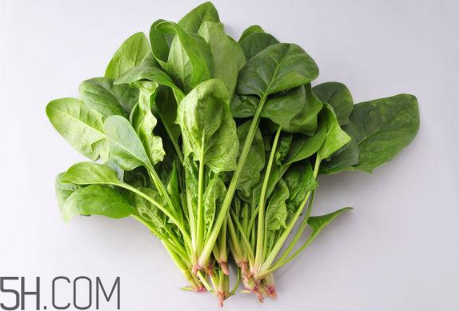 羊肉和菠菜能一起吃嗎？吃羊肉能吃菠菜嗎？