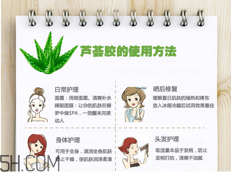 蘆薈膠的功效和作用有哪些？教你蘆薈膠的正確使用方法