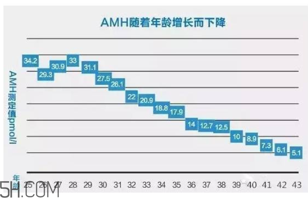AMH檢查是什么？快速檢測卵巢是否適合懷孕