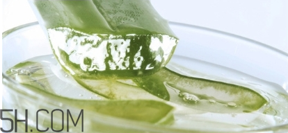 擠痘痘后可以涂蘆薈膠嗎？涂抹維生素e和蘆薈膠的作用