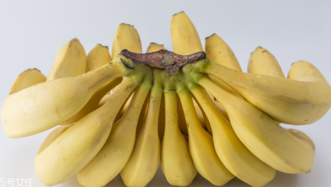 猴子為什么愛(ài)吃香蕉？熱量高營(yíng)養(yǎng)多令人高興