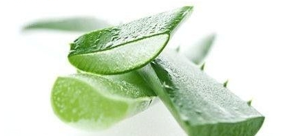 嘴唇干裂能用蘆薈膠嗎？鼻子脫皮也可以用蘆薈膠