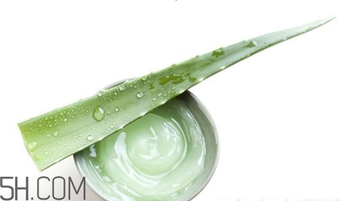 蘆薈膠吃了會怎樣？蘆薈膠的吃法