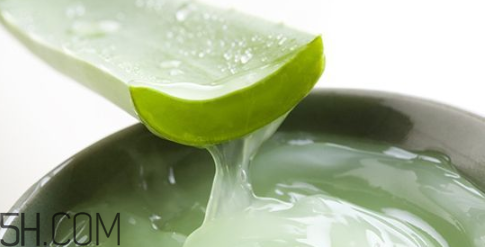 蘆薈膠吃了會怎樣？蘆薈膠的吃法