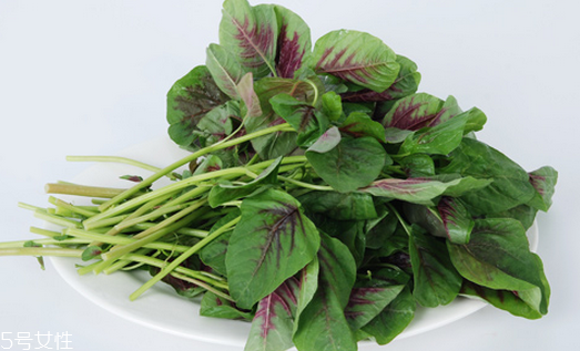 吃莧菜可以減肥嗎？減肥食物熱量排行榜