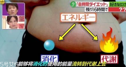 青汁一天喝幾袋最減肥？日本瘋傳的減肥飲食大法