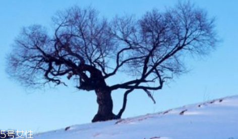 三九天最適合減肥的運(yùn)動(dòng)有哪些？推薦三種減肥運(yùn)動(dòng)