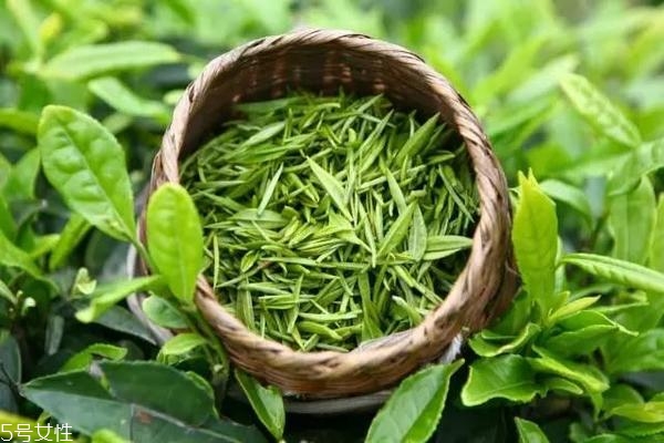 晚上餓了吃什么不長胖？全球公認最強減肥食物