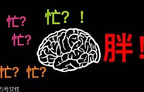 久坐不動(dòng)上班族如何減肥？越努力工作的人越容易發(fā)胖