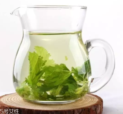 桑葉茶哪些人不能喝？過多飲用傷脾胃傷腎