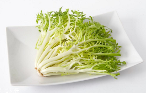 苦菊能減肥嗎？苦菊的各式做法