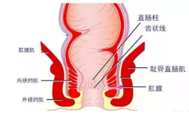 肛瘺非手術(shù)治療才可以嗎？手術(shù)是治療的關(guān)鍵途徑