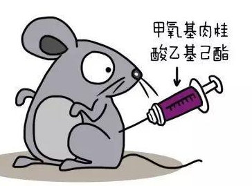 自然堂隔離霜孕婦可以用嗎？含有孕婦禁用成分