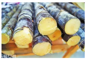 甘蔗的吃法有什么不同？吃法不同療效不同