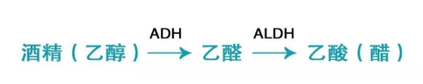 喝酒致癌的真相是什么？乙醛致癌太可怕