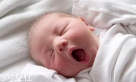 香蕉能安眠嗎？富含鎂元素讓人安眠