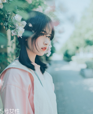 鹿胎膏會(huì)發(fā)胖嗎？鹿胎膏無(wú)致胖風(fēng)險(xiǎn)