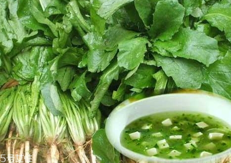 薺菜能和木耳一起吃嗎？一起吃好處多多