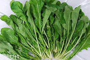 薺菜包餃子需要焯水嗎？小心有苦澀的味道