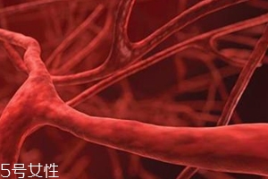 血管塞有什么征兆？這4個(gè)現(xiàn)象要警惕