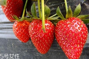 寶寶咳嗽可以吃草莓嗎？看是什么類型的咳嗽