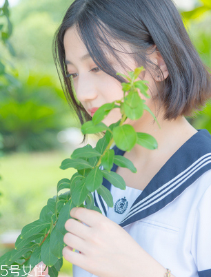 舒爾佳會(huì)反彈嗎？減肥不反彈的好方法