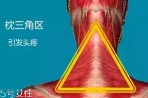 人體黃金三角區(qū)有哪些？養(yǎng)好了百病不擾