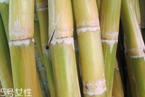 甘蔗吃多了對牙齒好嗎？有可能損傷牙齒