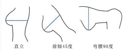 胸型有哪幾種圖解 對應內(nèi)衣怎么選擇