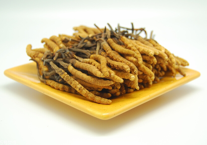 吃冬蟲(chóng)夏草的好處有哪些？四大好處任你選