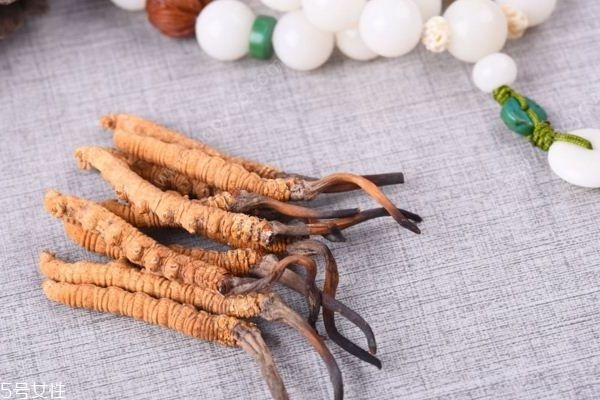 吃冬蟲(chóng)夏草的好處有哪些？四大好處任你選