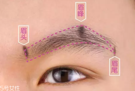眉型常見失誤有哪些？眉頭壓實很難看