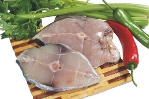 馬鮫魚(yú)多少錢一斤 馬鮫魚(yú)最新價(jià)格行情