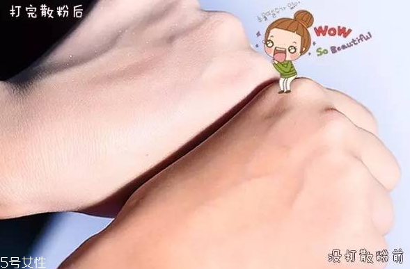 紀(jì)梵希散粉和悅詩(shī)風(fēng)吟散粉哪個(gè)好？
