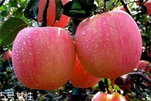 空腹吃蘋果好不好？一天最多吃幾個(gè)蘋果？