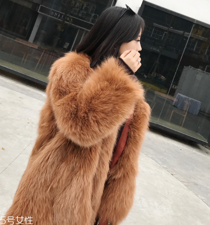 皮草和貂哪個(gè)貴？它們的價(jià)值你清楚嗎