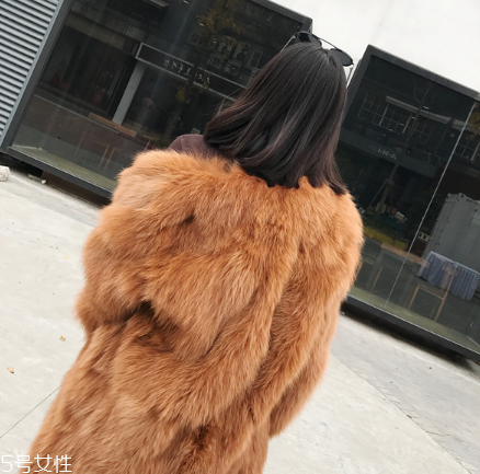 皮草和貂哪個(gè)貴？它們的價(jià)值你清楚嗎