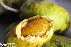 牛卵坨孕婦可以吃嗎？看屬于什么懷孕階段